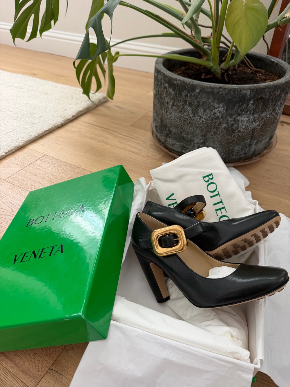 Bottega Veneta Mostra Maryjane Pump
